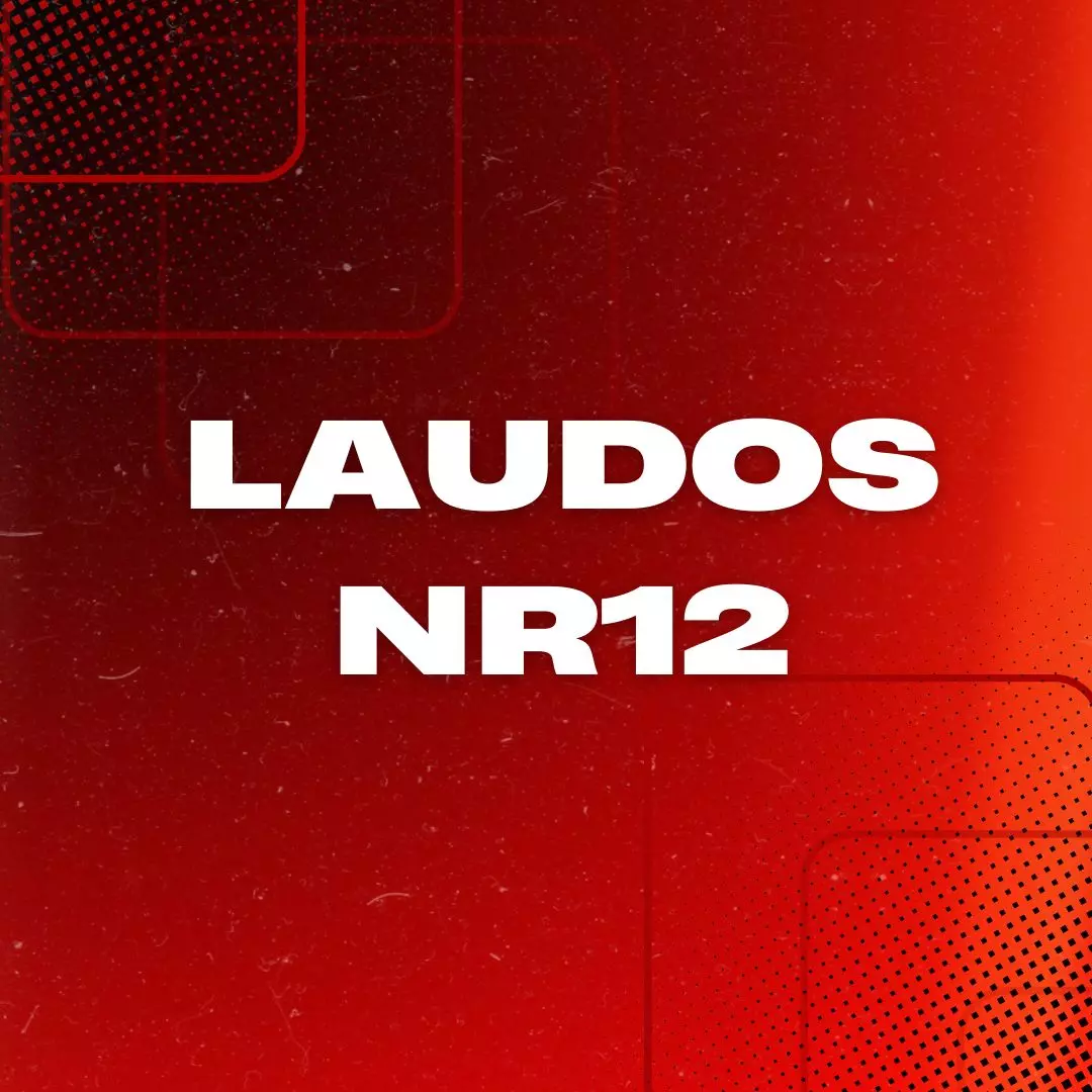 Laudos nr12